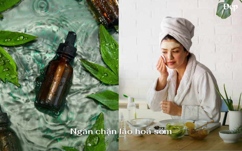 cong-dung-cua-arbutin-trong-cham-soc-da