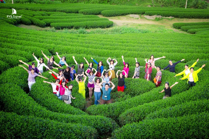 doi-che-trai-tim-bieu-tuong-cua-Moc-Chau