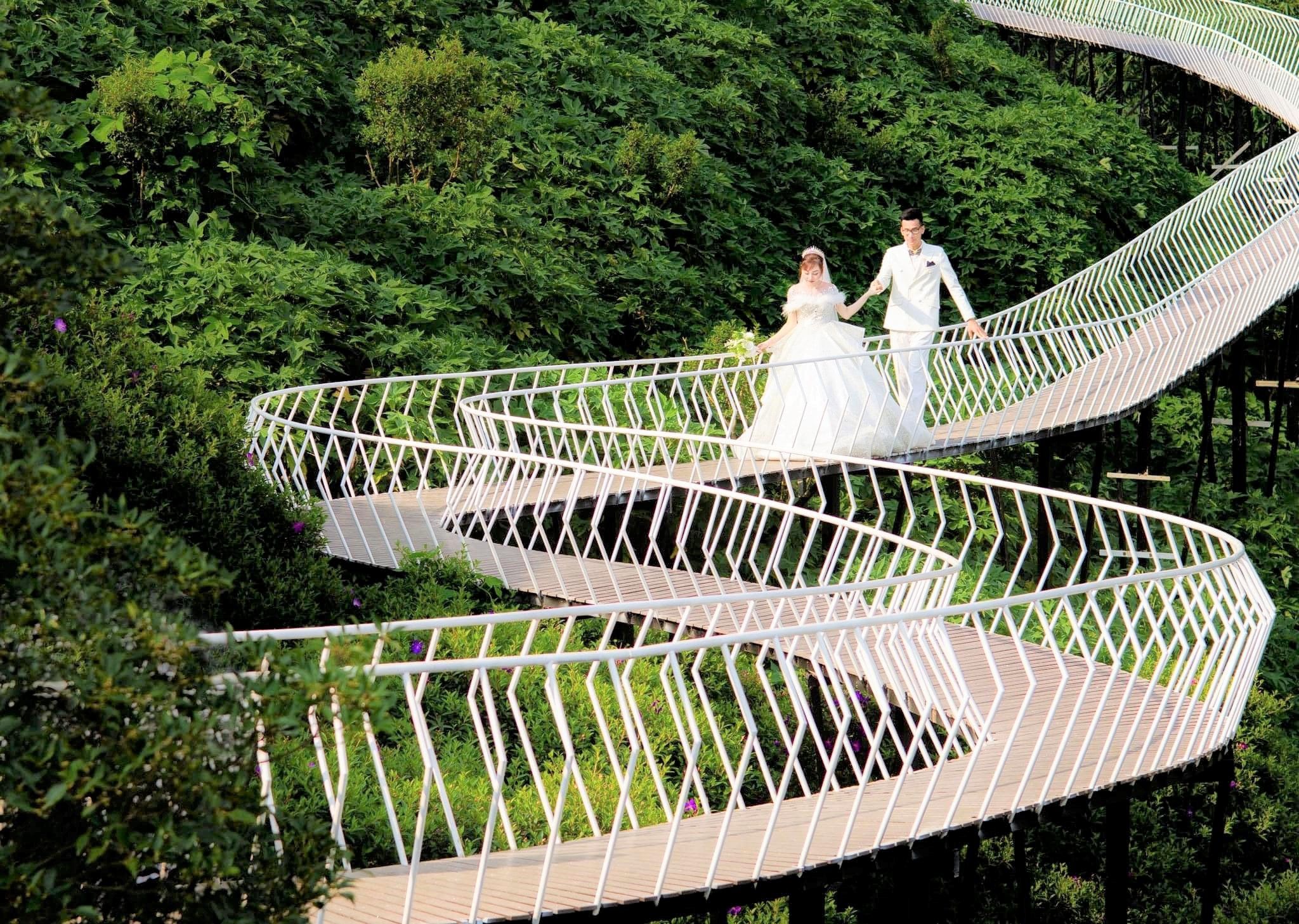 cau-may-tam-dia-diem-khong-the-bo-lo