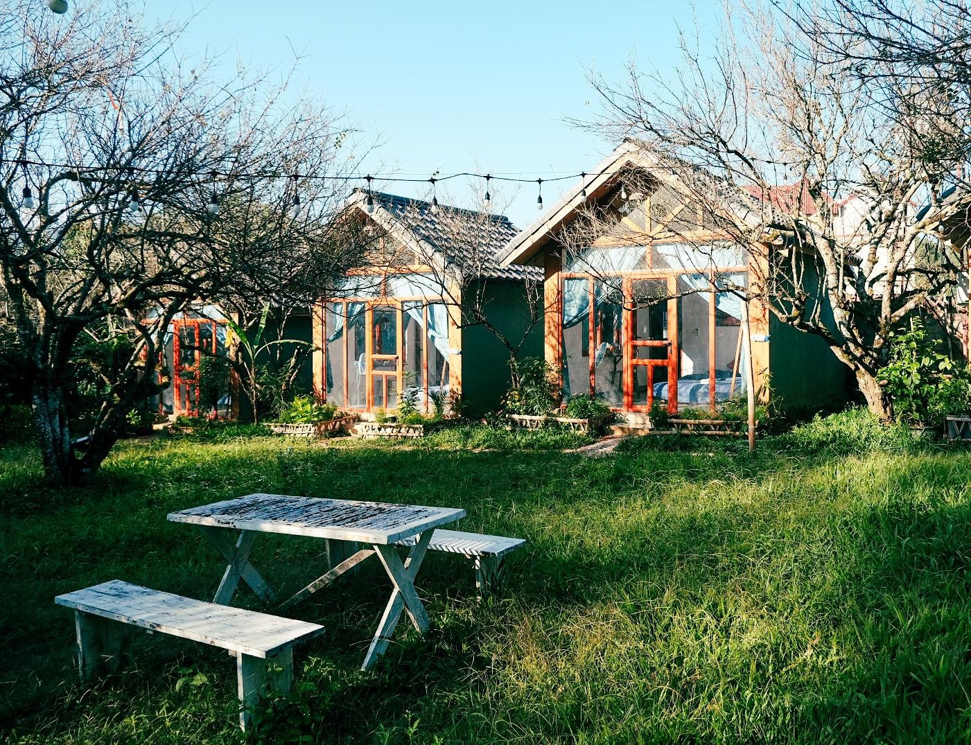 cẩm nang du lịch mộc châu chi tiết nhất cho người đi lần đầu - 2