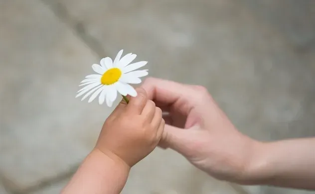 Hành trình thành công: Thái độ và lòng biết ơn